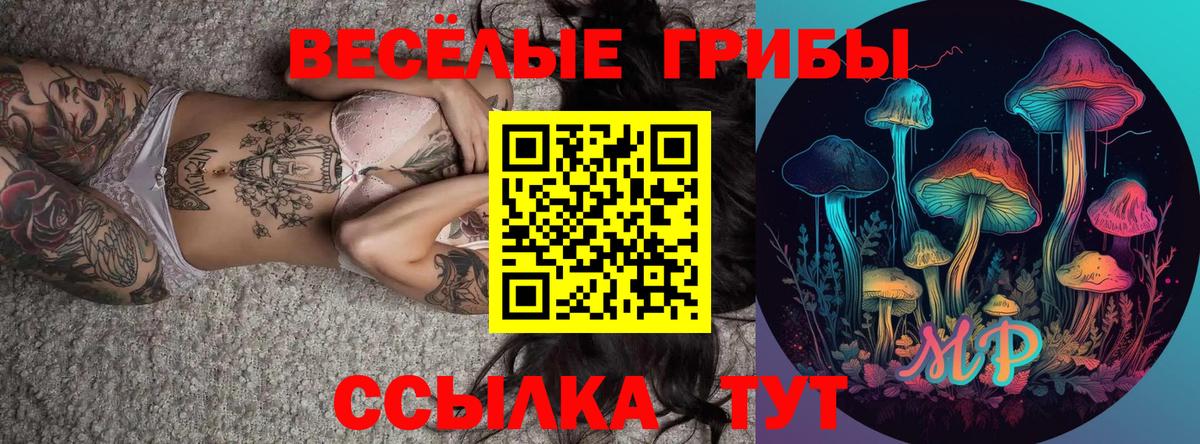 даркнет сайт  Галлюциногенные грибы Psilocybine cubensis  Вход с VPN  Ахтубинск 