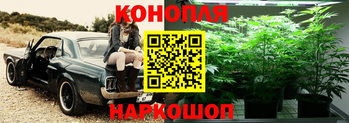 Бошки Шишки семена Ахтубинск